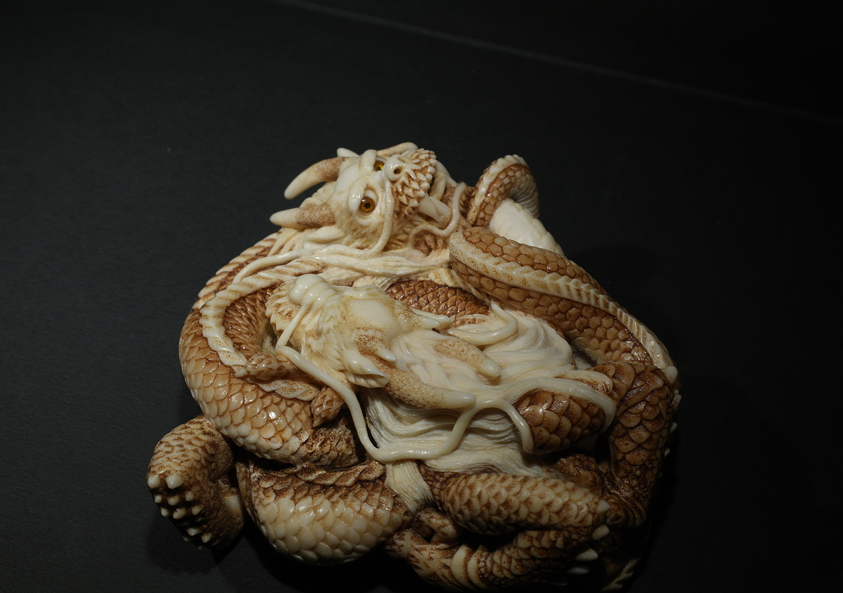 Two intertwined dragons15